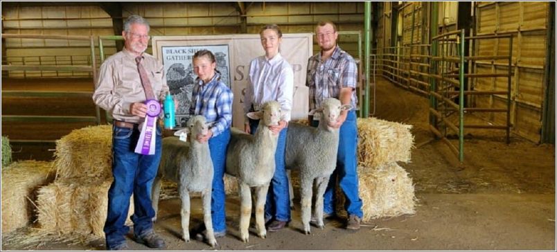 Champion Junior Breeders Young Flock  Andrew Ander-son, Grant City, Missouri with Judge Jacobsen. Photo: Amy Wolf.